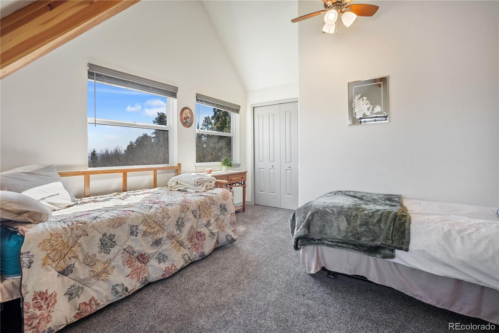 MLS Image #21 for 247  foxtail court,fairplay, Colorado