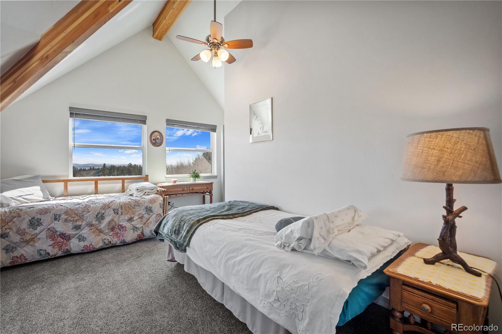 MLS Image #22 for 247  foxtail court,fairplay, Colorado