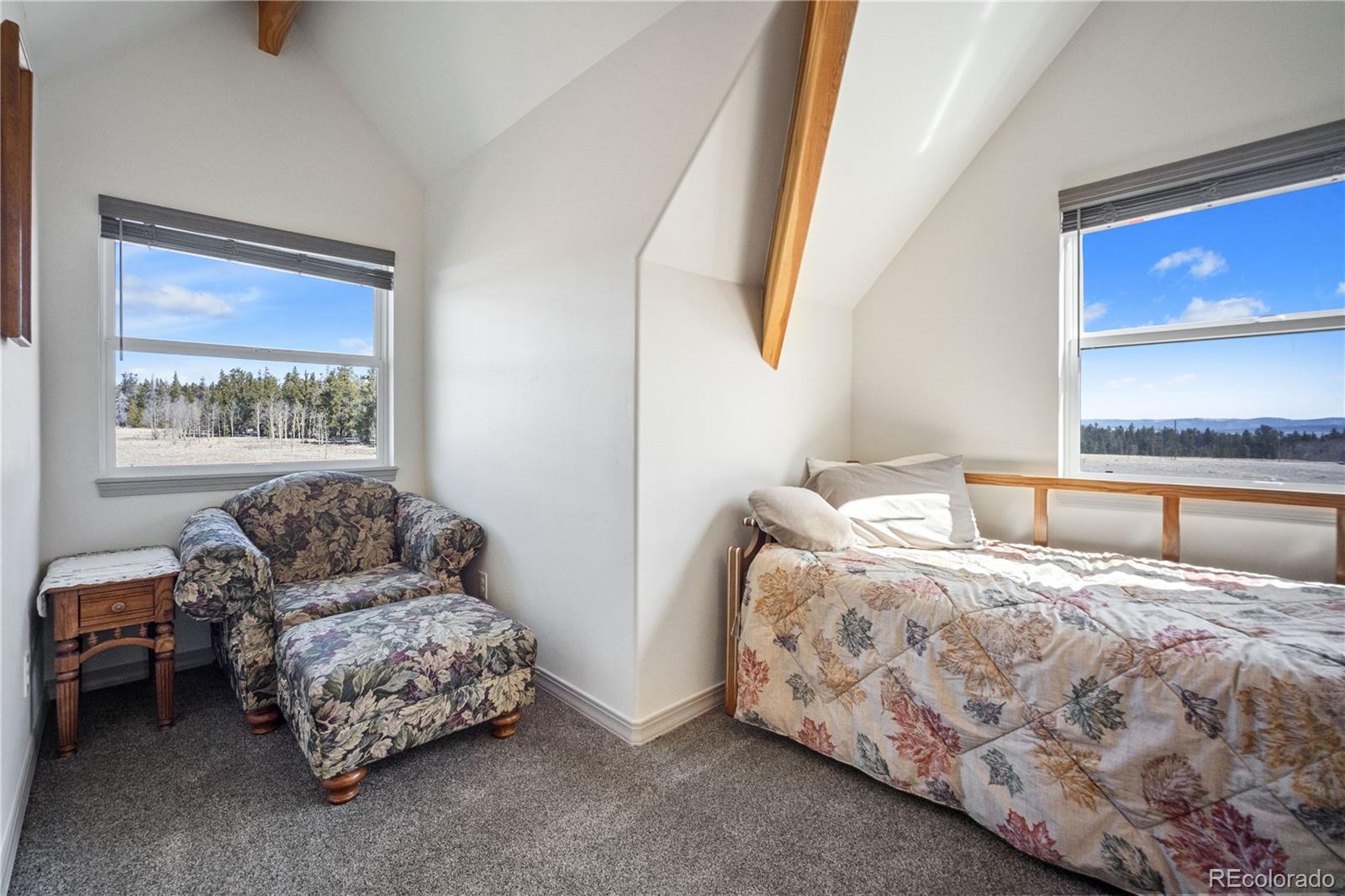 MLS Image #23 for 247  foxtail court,fairplay, Colorado