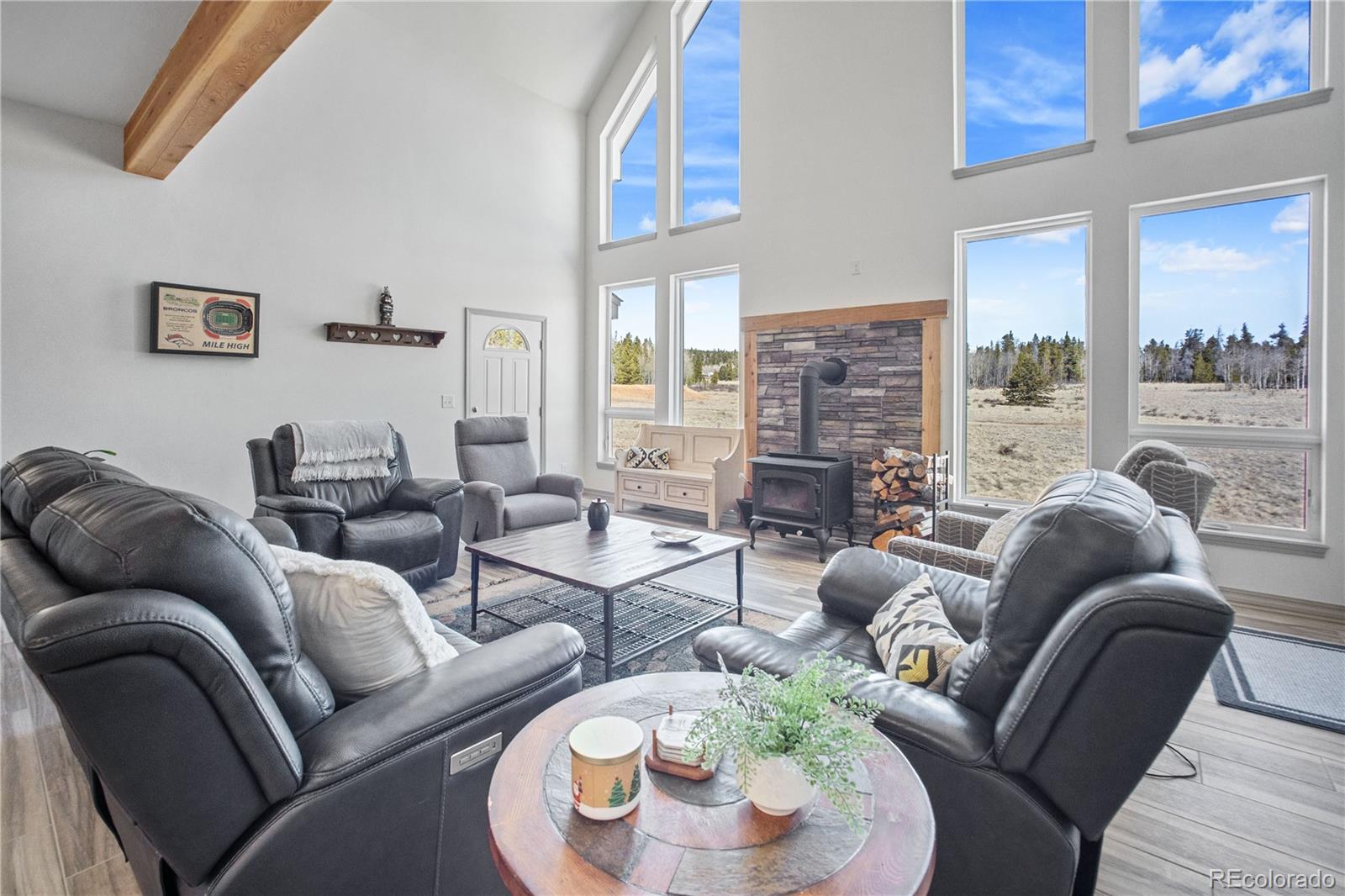 MLS Image #3 for 247  foxtail court,fairplay, Colorado