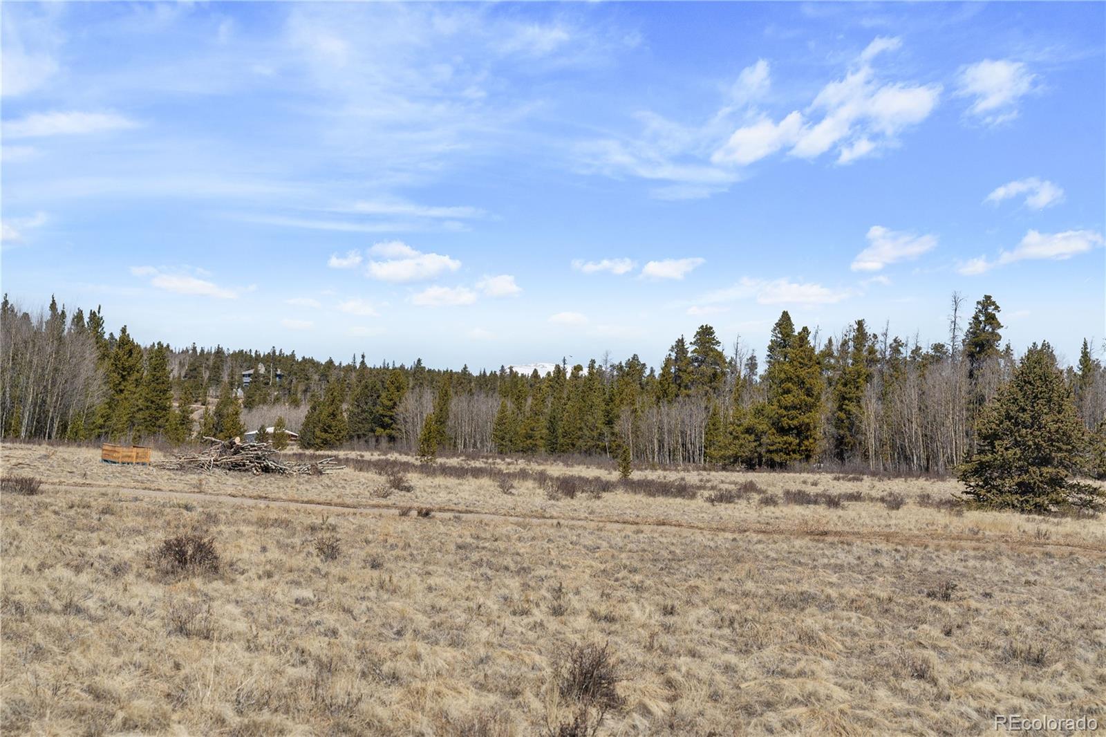 MLS Image #30 for 247  foxtail court,fairplay, Colorado