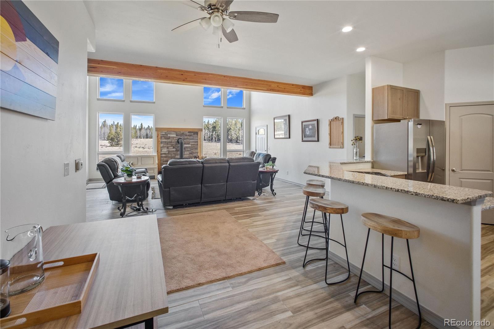 MLS Image #6 for 247  foxtail court,fairplay, Colorado
