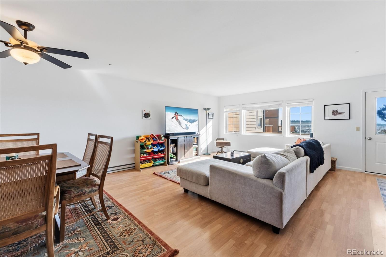 MLS Image #14 for 387  8th street,fairplay, Colorado