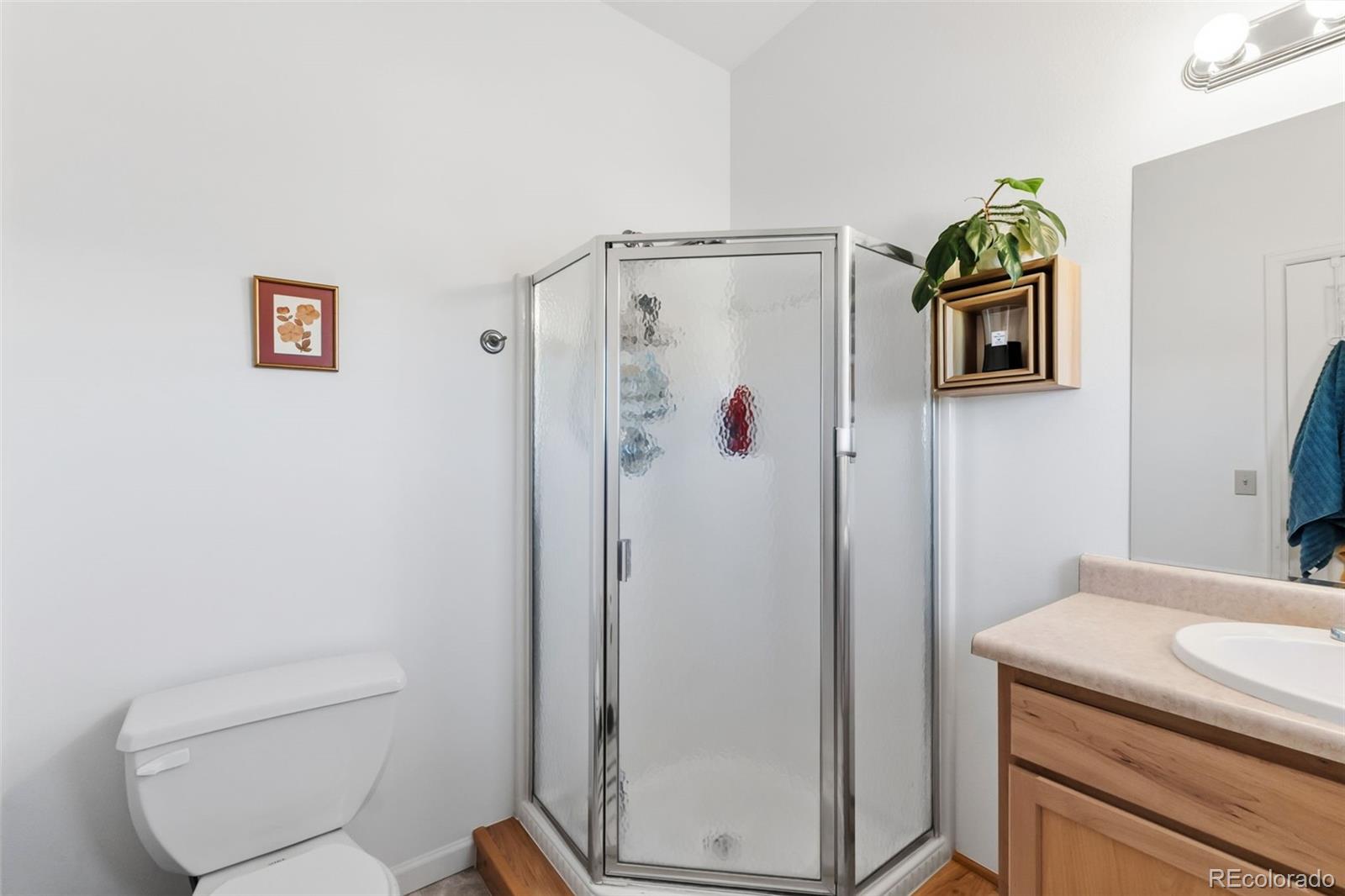 MLS Image #21 for 387  8th street,fairplay, Colorado