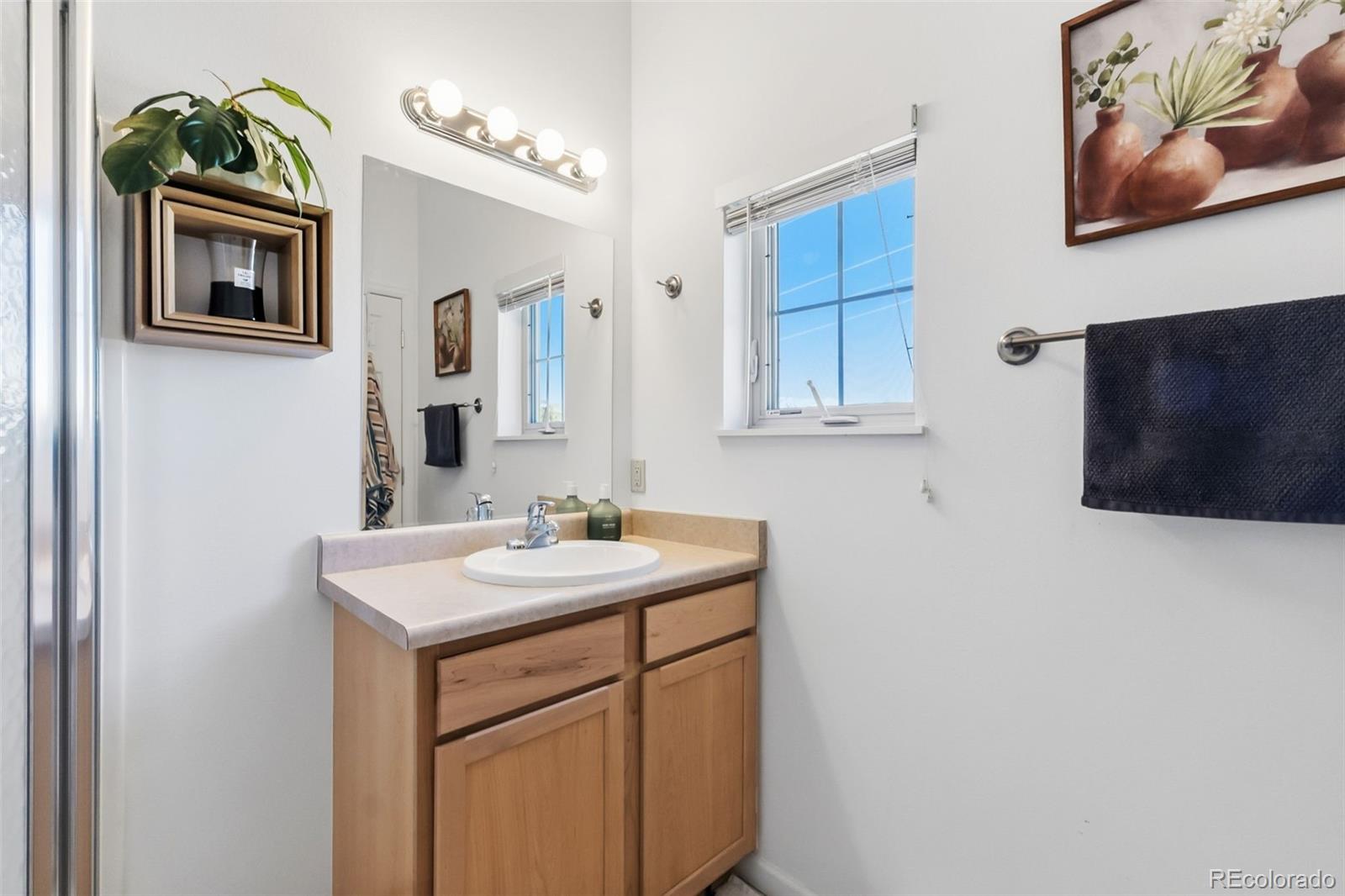 MLS Image #22 for 387  8th street,fairplay, Colorado