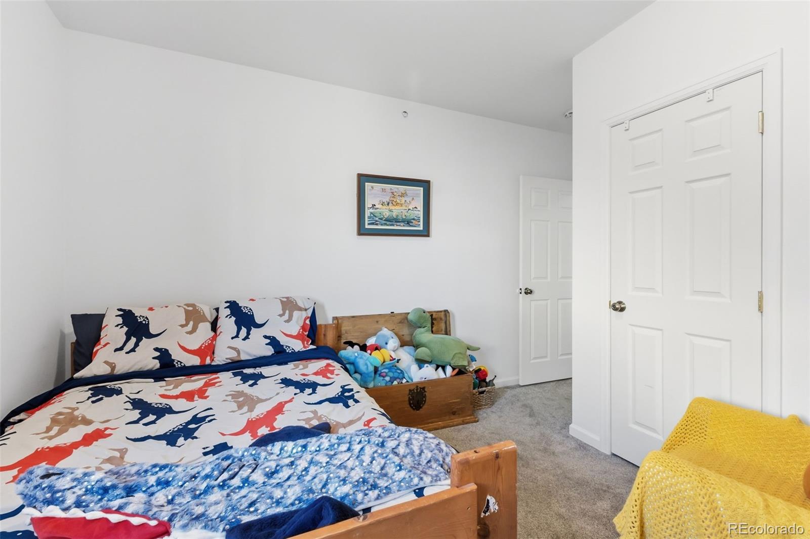 MLS Image #24 for 387  8th street,fairplay, Colorado