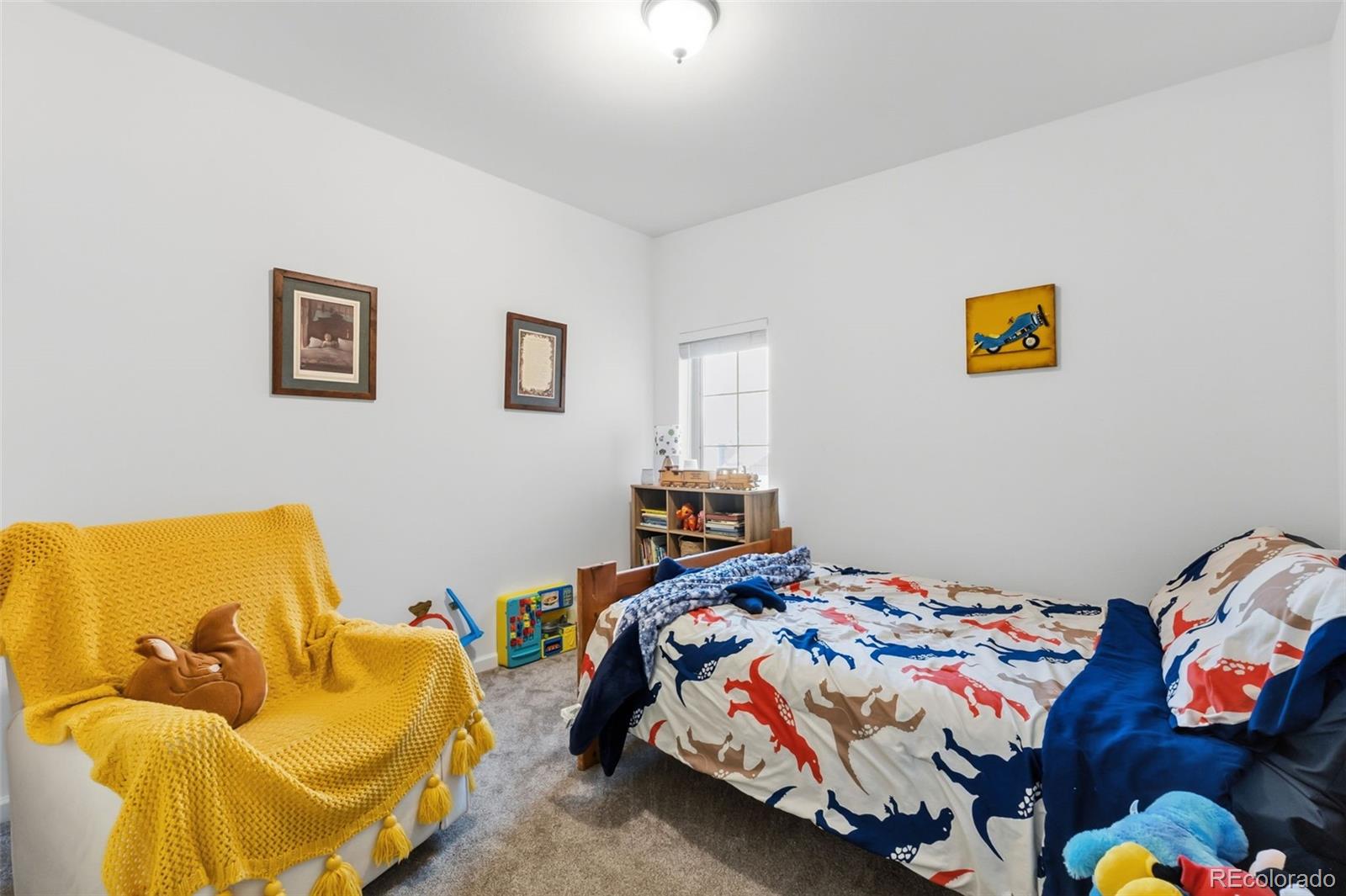 MLS Image #25 for 387  8th street,fairplay, Colorado