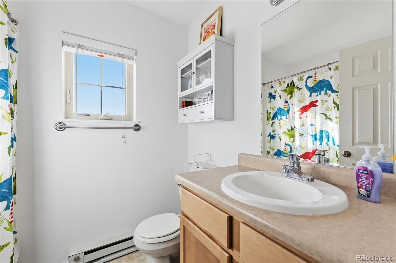 MLS Image #26 for 387  8th street,fairplay, Colorado