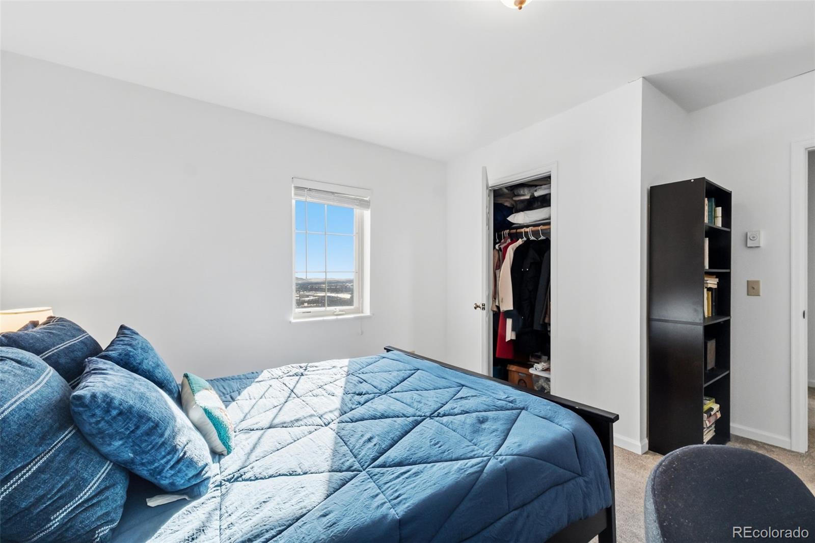 MLS Image #27 for 387  8th street,fairplay, Colorado