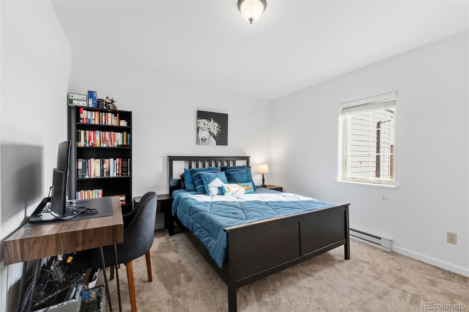 MLS Image #29 for 387  8th street,fairplay, Colorado