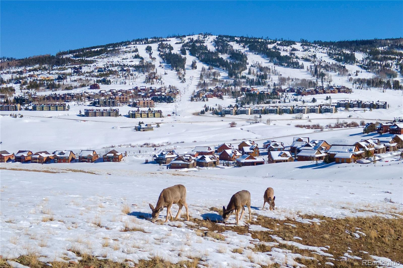 MLS Image #46 for 109  saddle mountain camp road,granby, Colorado