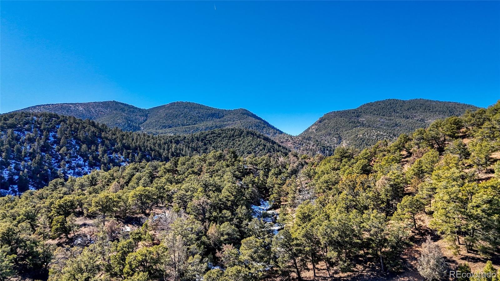 MLS Image #19 for 4351  county road 12 ,cotopaxi, Colorado