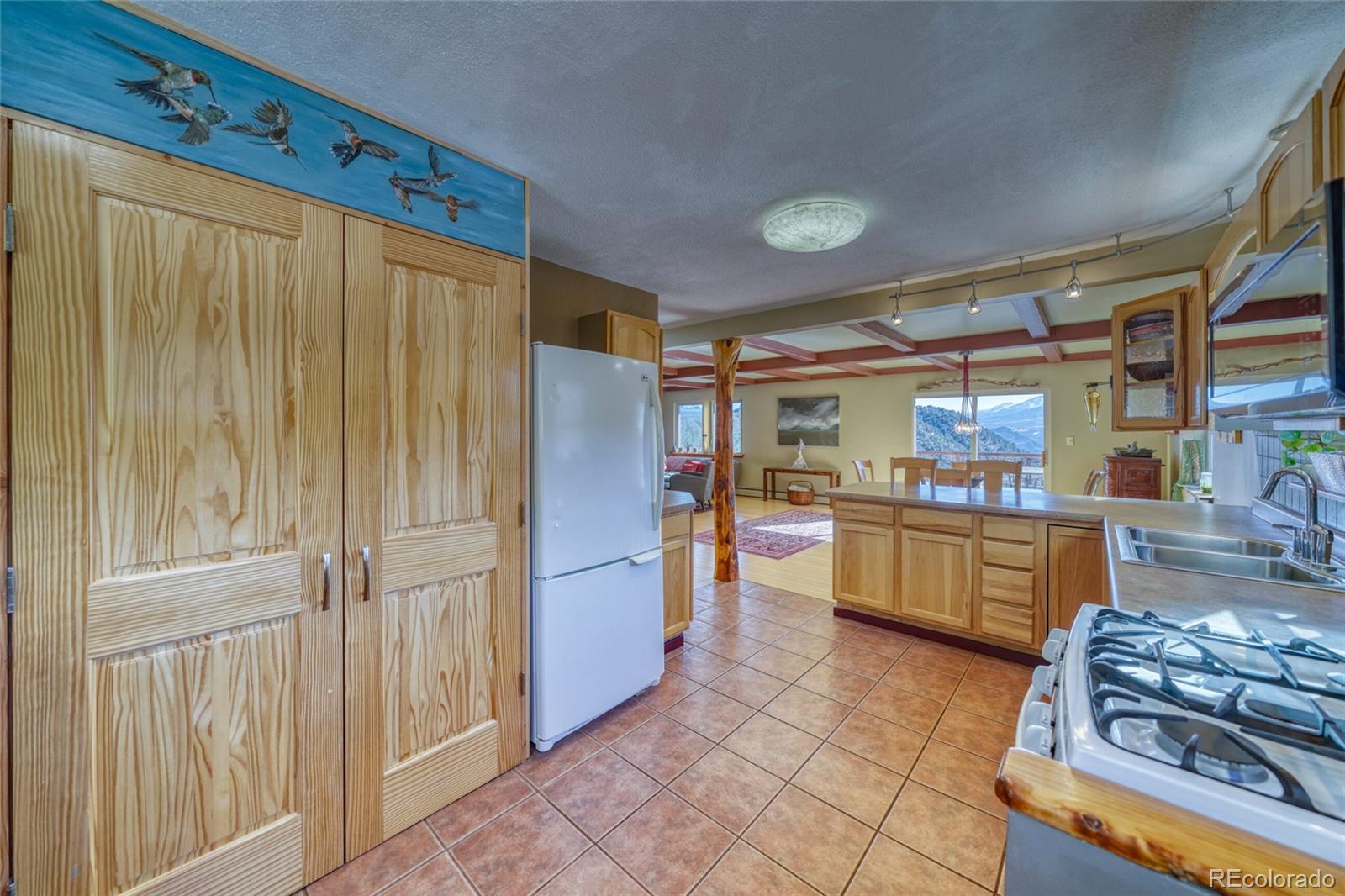 MLS Image #25 for 4351  county road 12 ,cotopaxi, Colorado