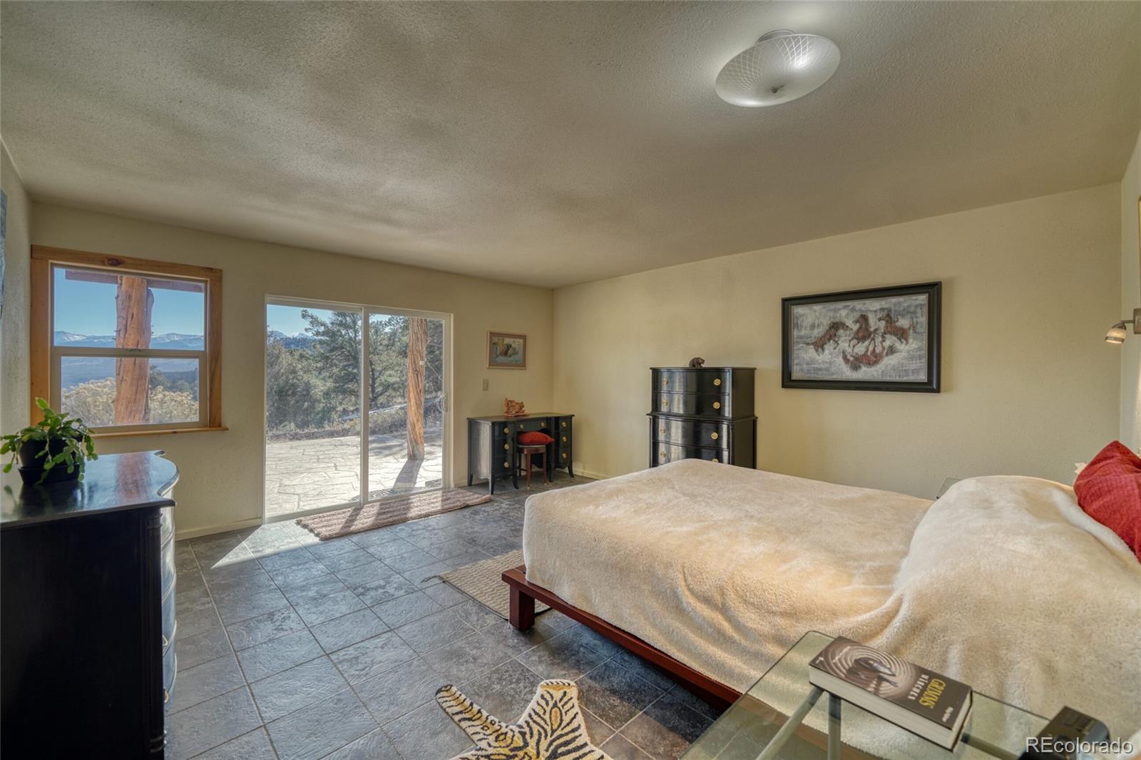 MLS Image #46 for 4351  county road 12 ,cotopaxi, Colorado