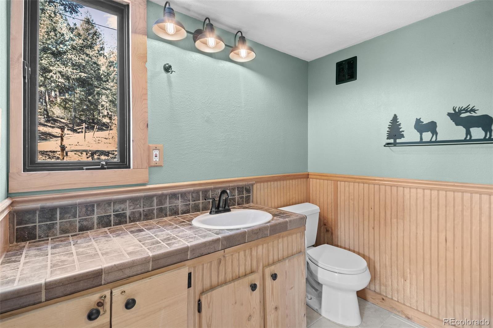 MLS Image #16 for 31653  ponderosa way,evergreen, Colorado