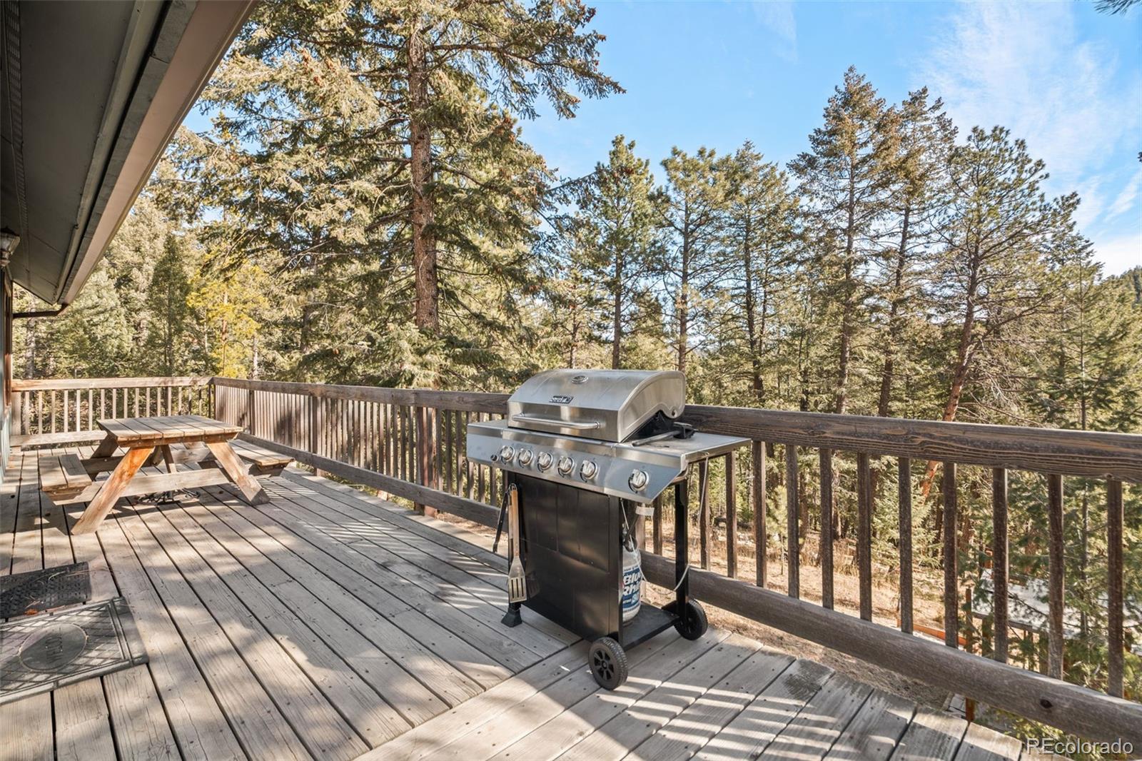 MLS Image #30 for 31653  ponderosa way,evergreen, Colorado