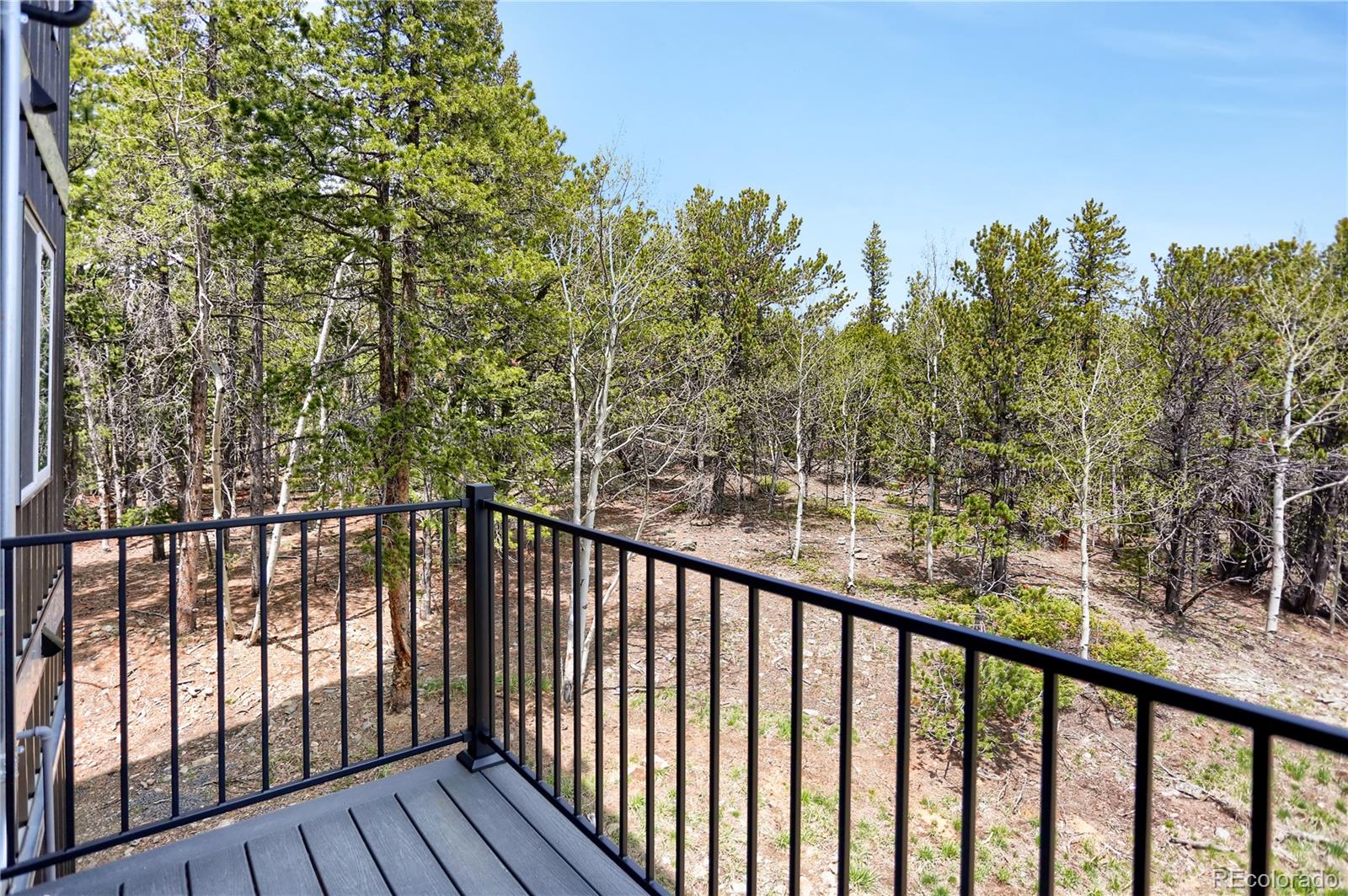 MLS Image #23 for 586  alpine way,idaho springs, Colorado