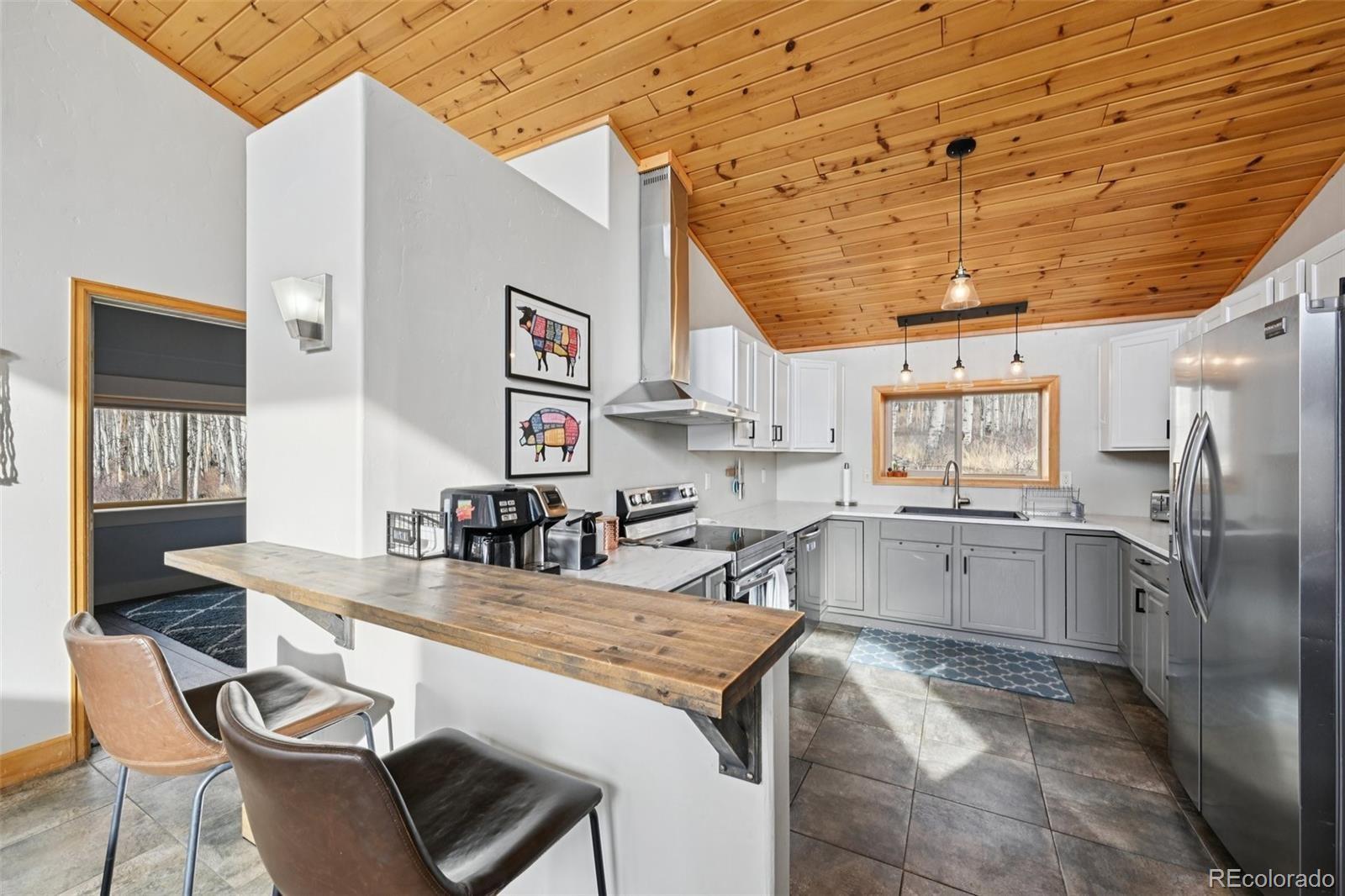 MLS Image #12 for 1499  sheep ridge road,fairplay, Colorado