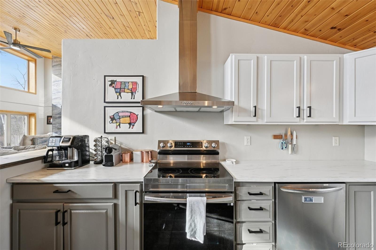 MLS Image #15 for 1499  sheep ridge road,fairplay, Colorado
