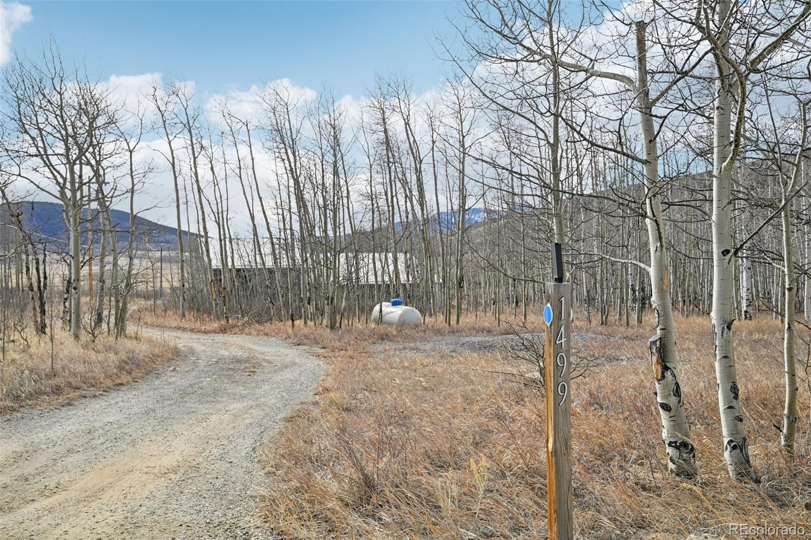 MLS Image #35 for 1499  sheep ridge road,fairplay, Colorado