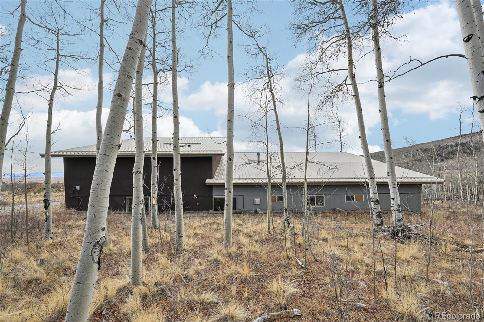 MLS Image #36 for 1499  sheep ridge road,fairplay, Colorado