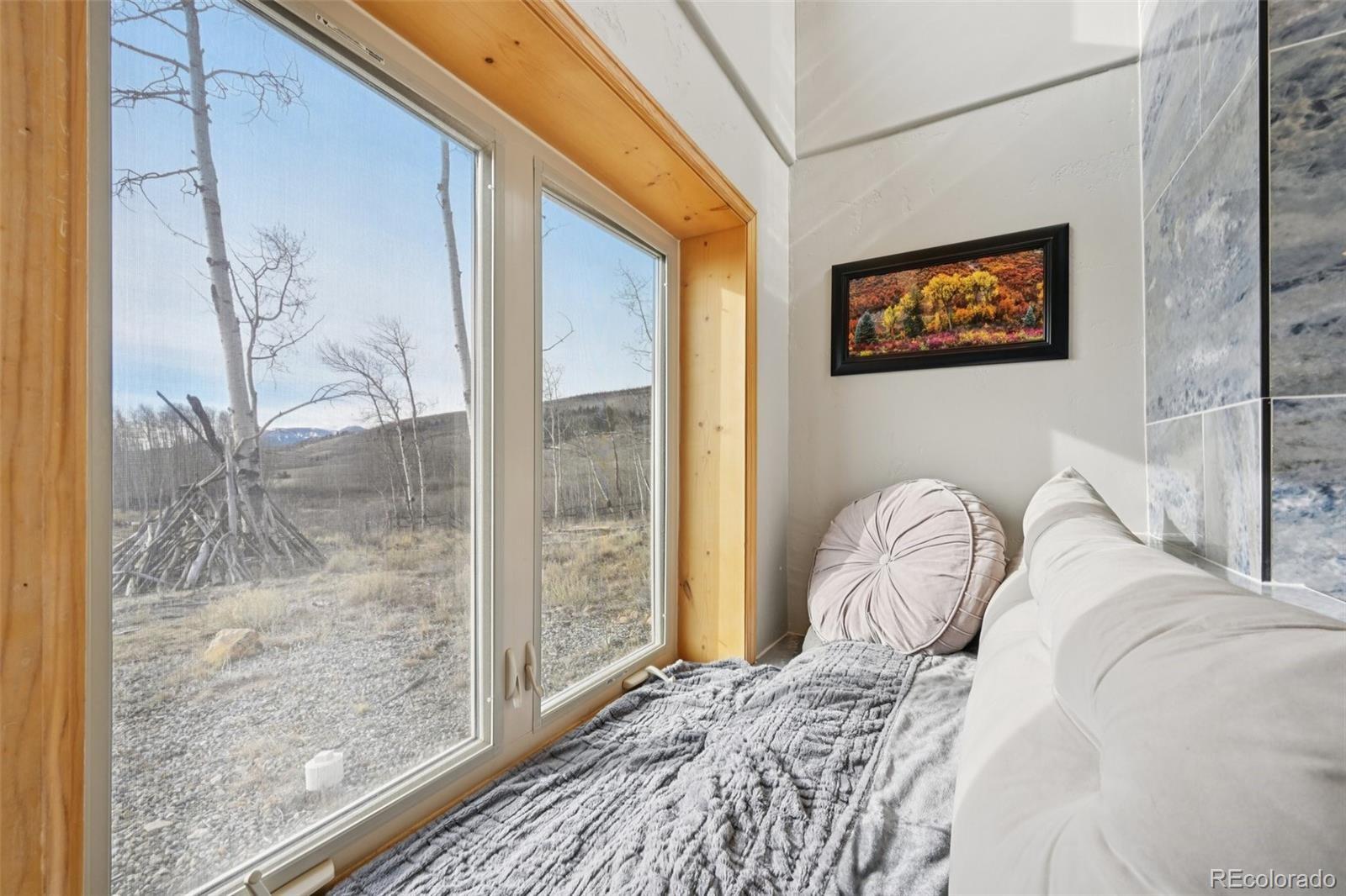 MLS Image #9 for 1499  sheep ridge road,fairplay, Colorado