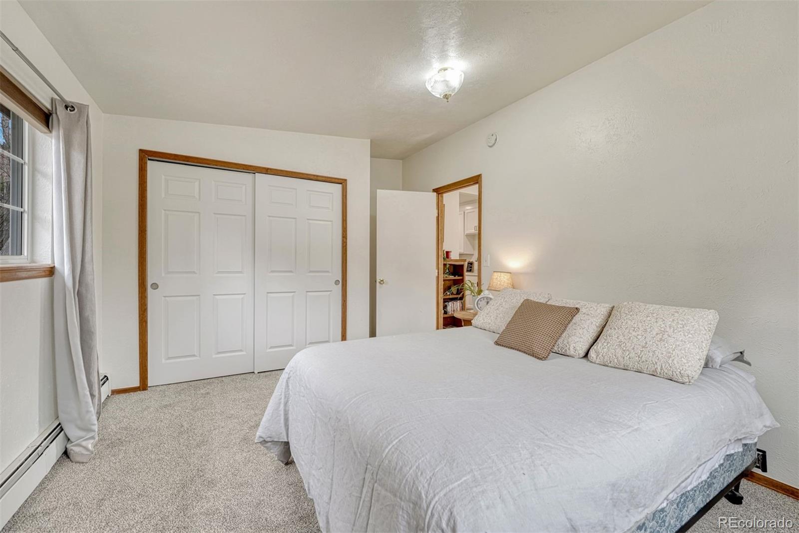 MLS Image #22 for 245  lower glenway street,palmer lake, Colorado