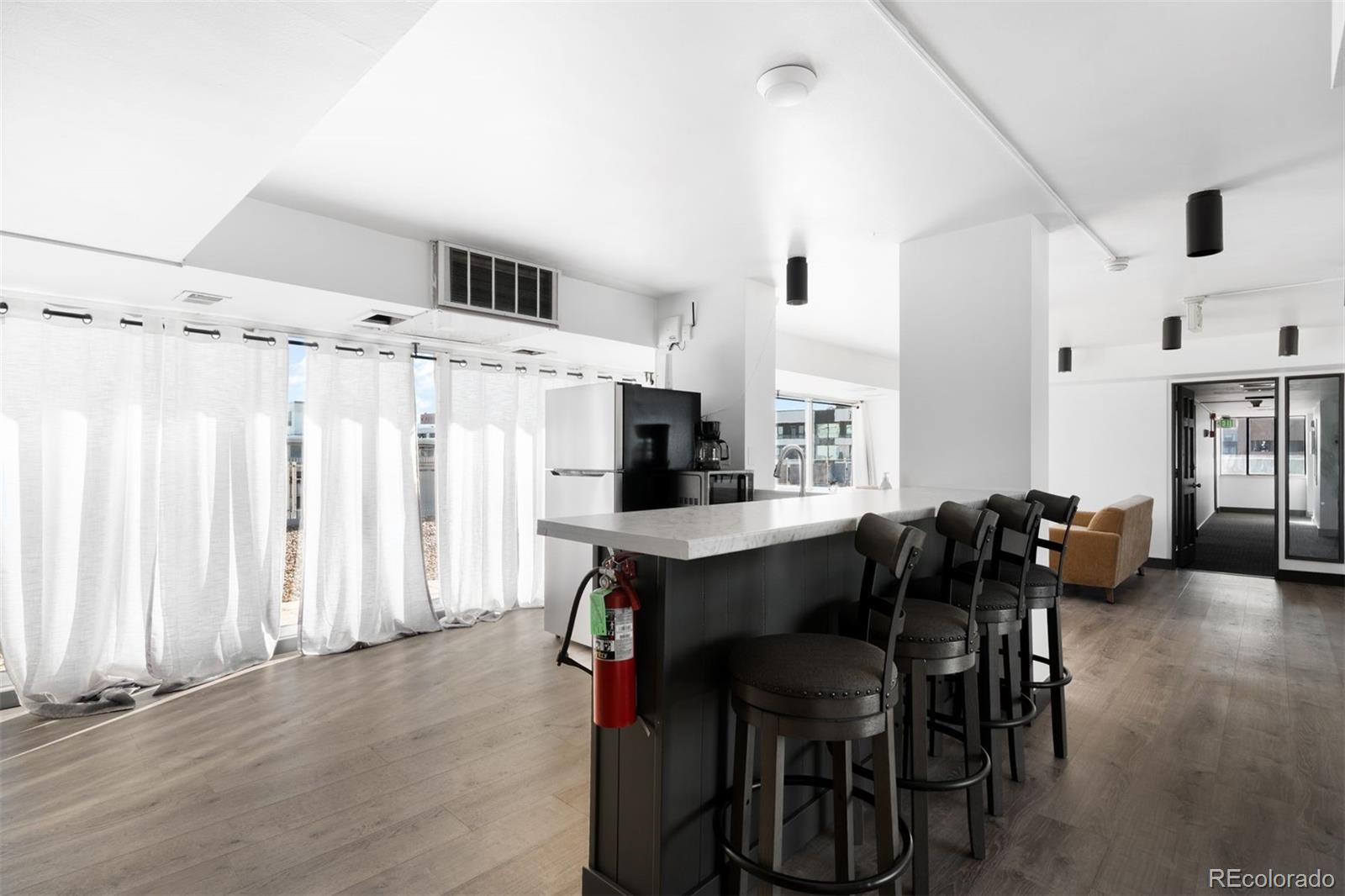 MLS Image #17 for 1121  albion street,denver, Colorado