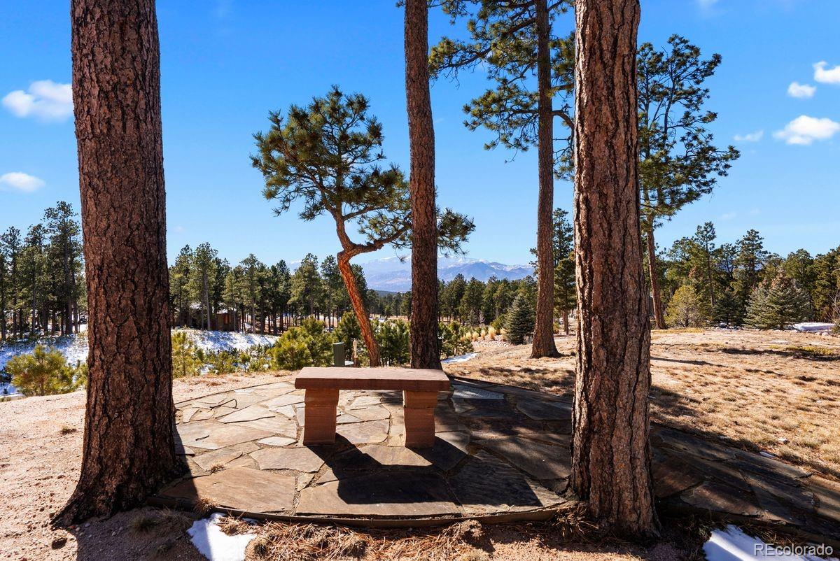 MLS Image #44 for 4340  foxchase way,colorado springs, Colorado
