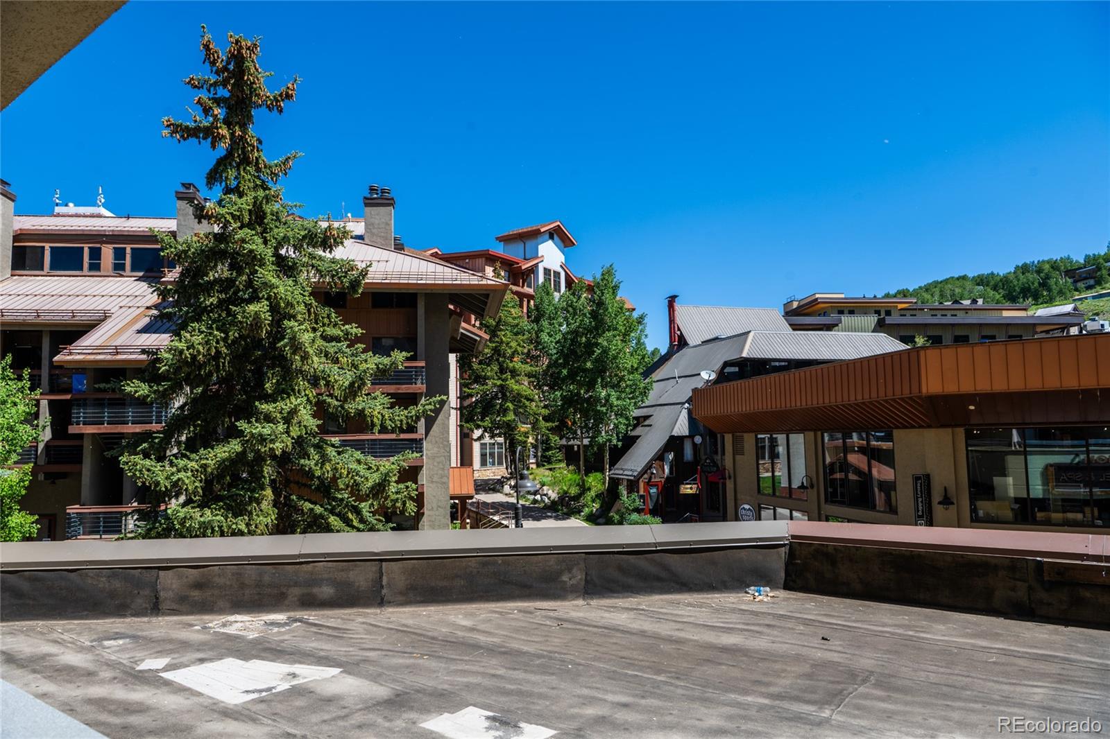 MLS Image #16 for 500  gothic road,mt crested butte, Colorado