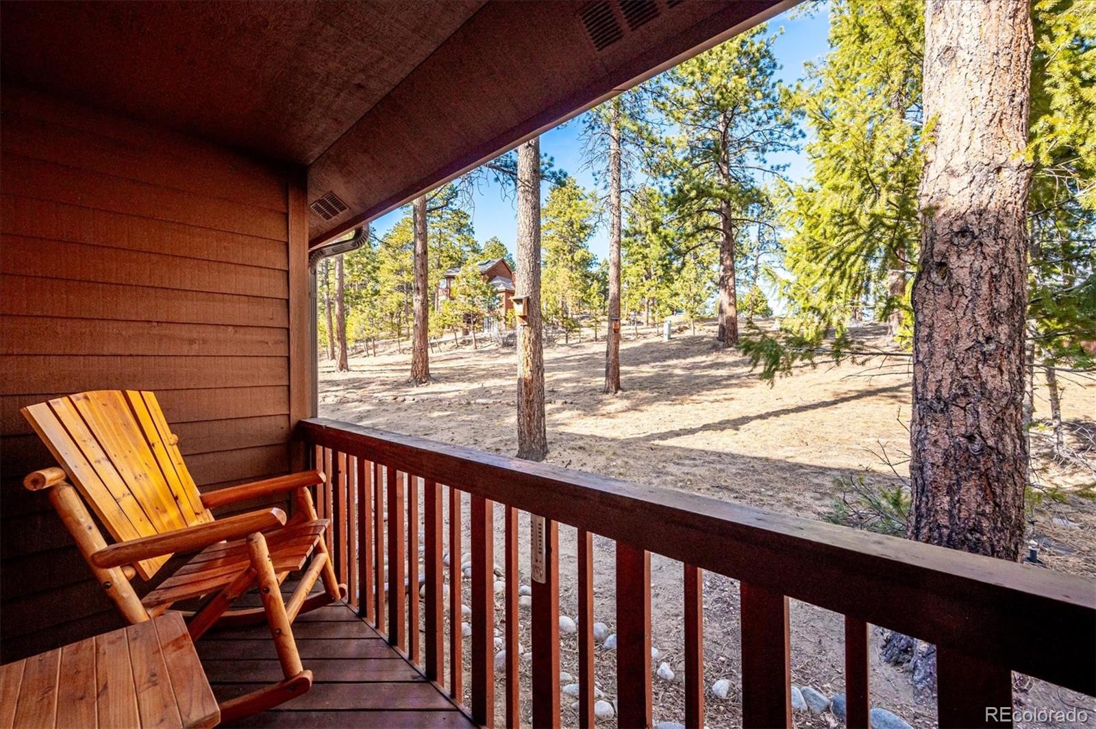 MLS Image #16 for 29859  park village drive,evergreen, Colorado