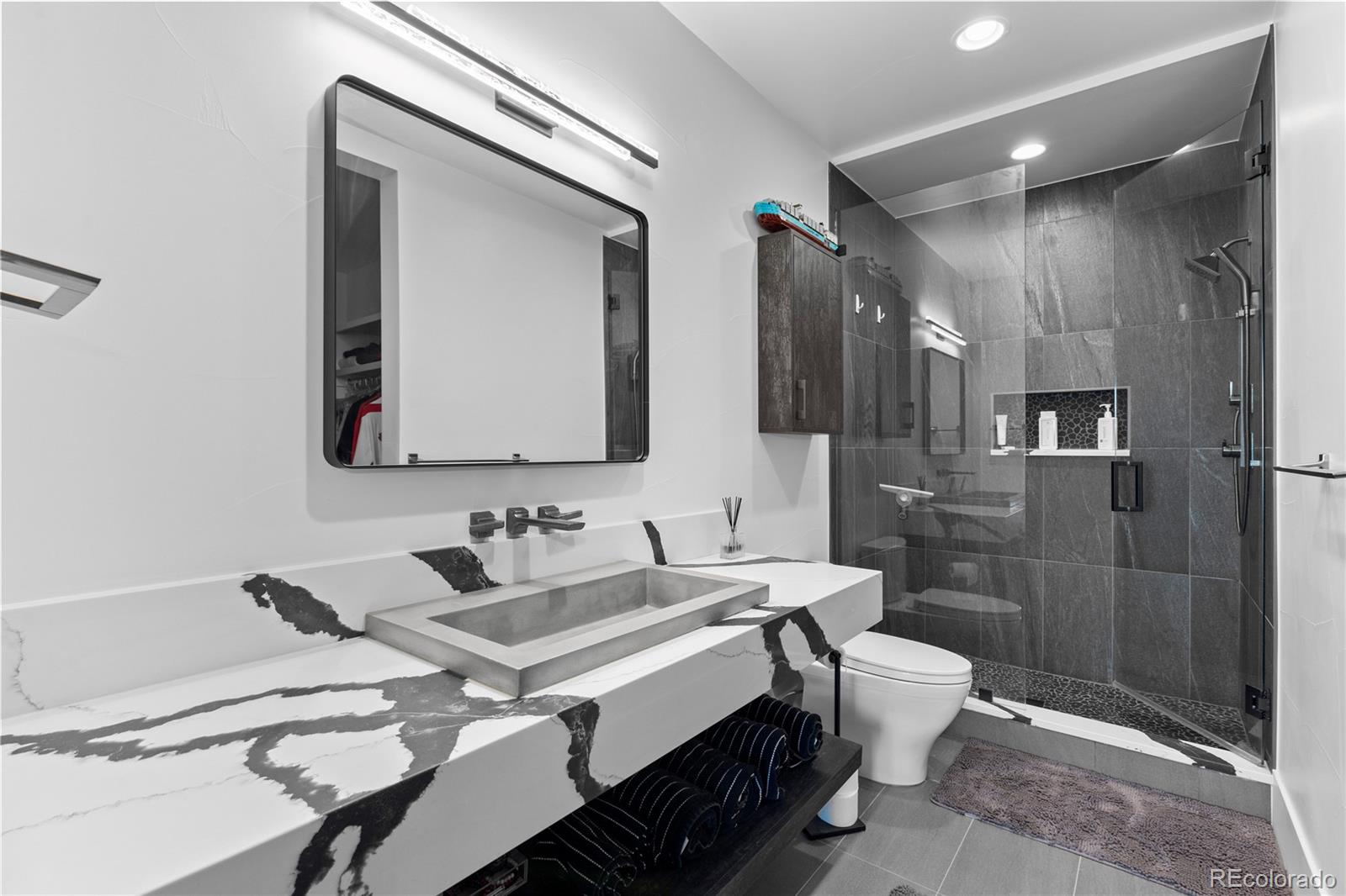 MLS Image #36 for 8168  galileo court,littleton, Colorado