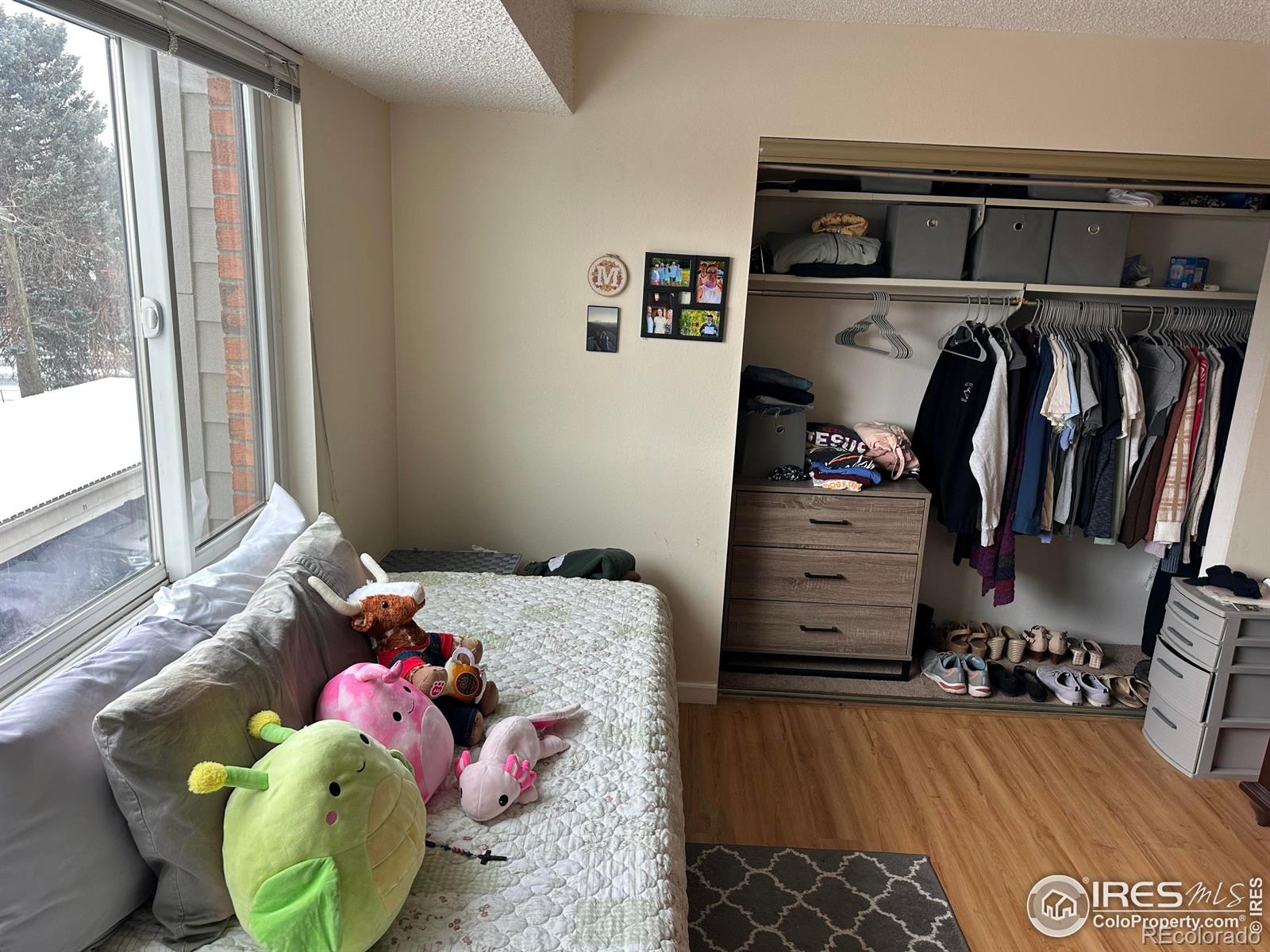 MLS Image #11 for 2141  baseline road,boulder, Colorado
