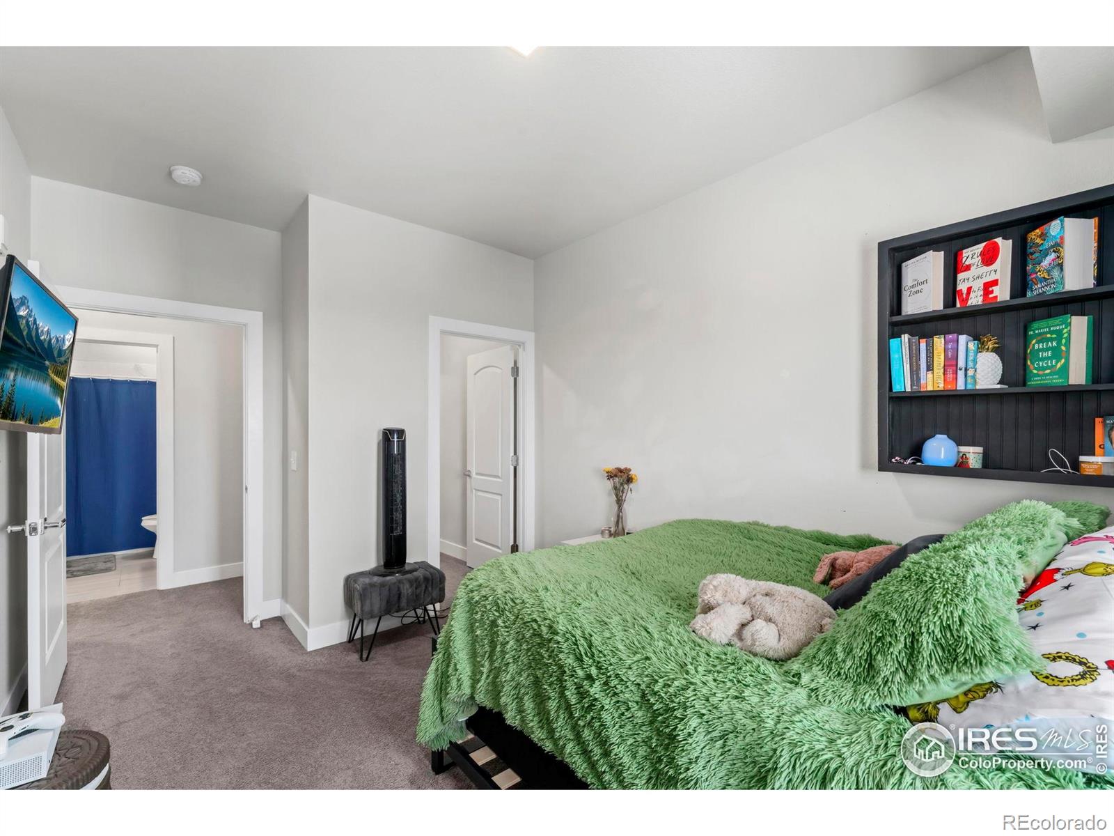 MLS Image #10 for 1401 w 85th avenue,denver, Colorado
