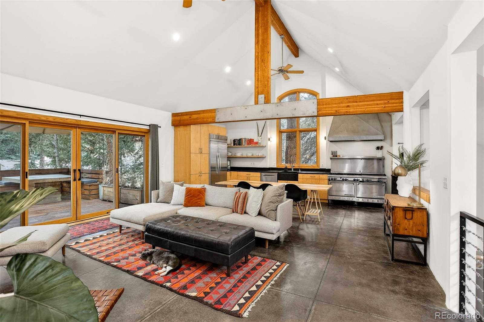 MLS Image #5 for 24844 n turkey creek road,evergreen, Colorado