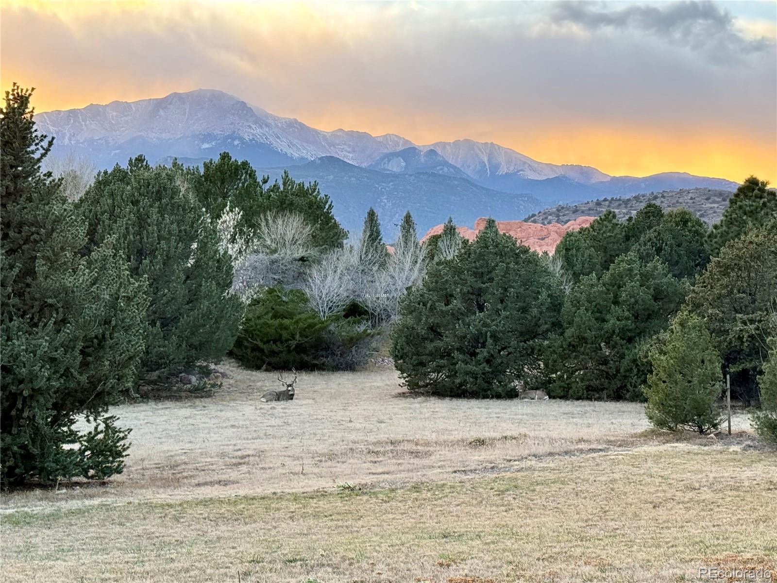 MLS Image #43 for 3440  hill circle,colorado springs, Colorado