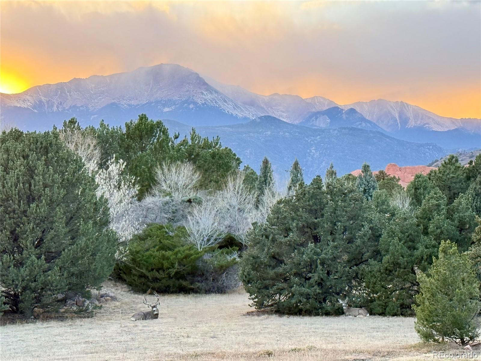 MLS Image #44 for 3440  hill circle,colorado springs, Colorado