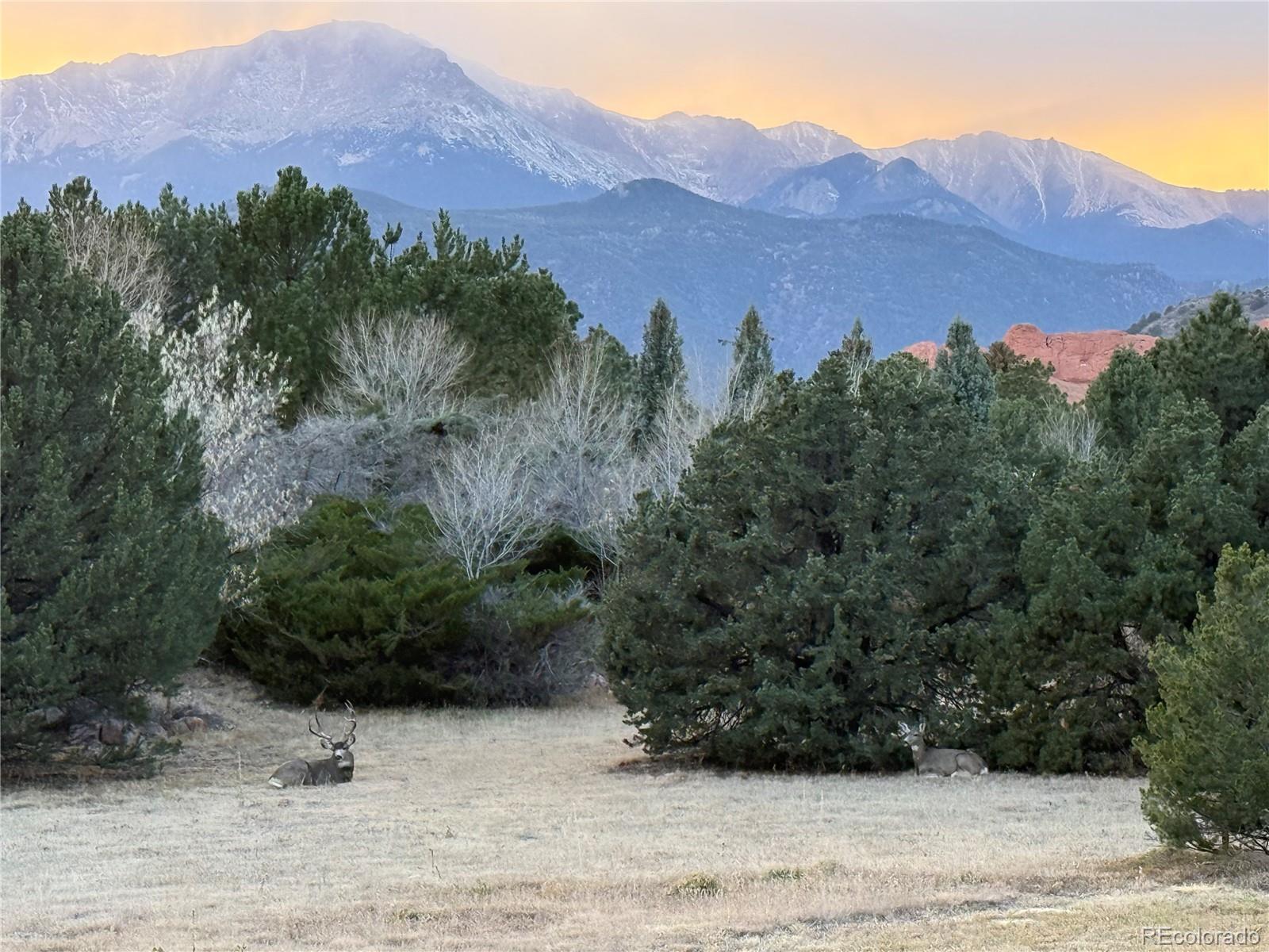 MLS Image #45 for 3440  hill circle,colorado springs, Colorado