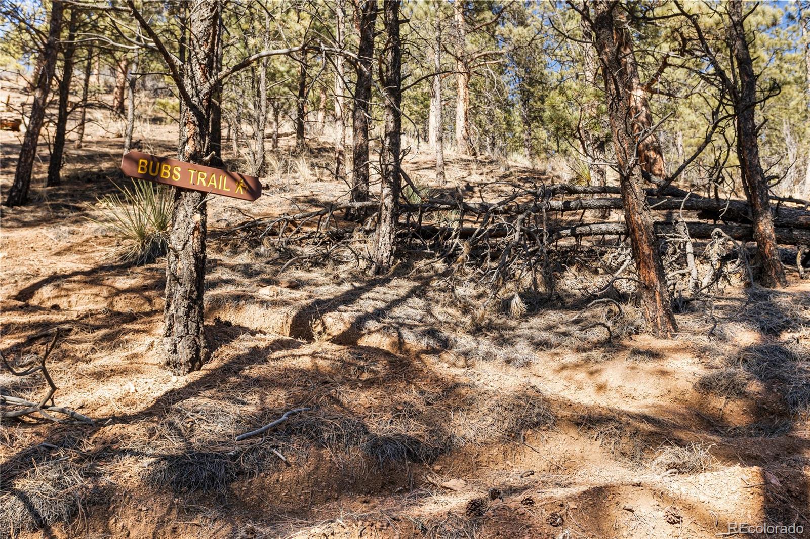 MLS Image #14 for 15185  rainbow drive,sedalia, Colorado