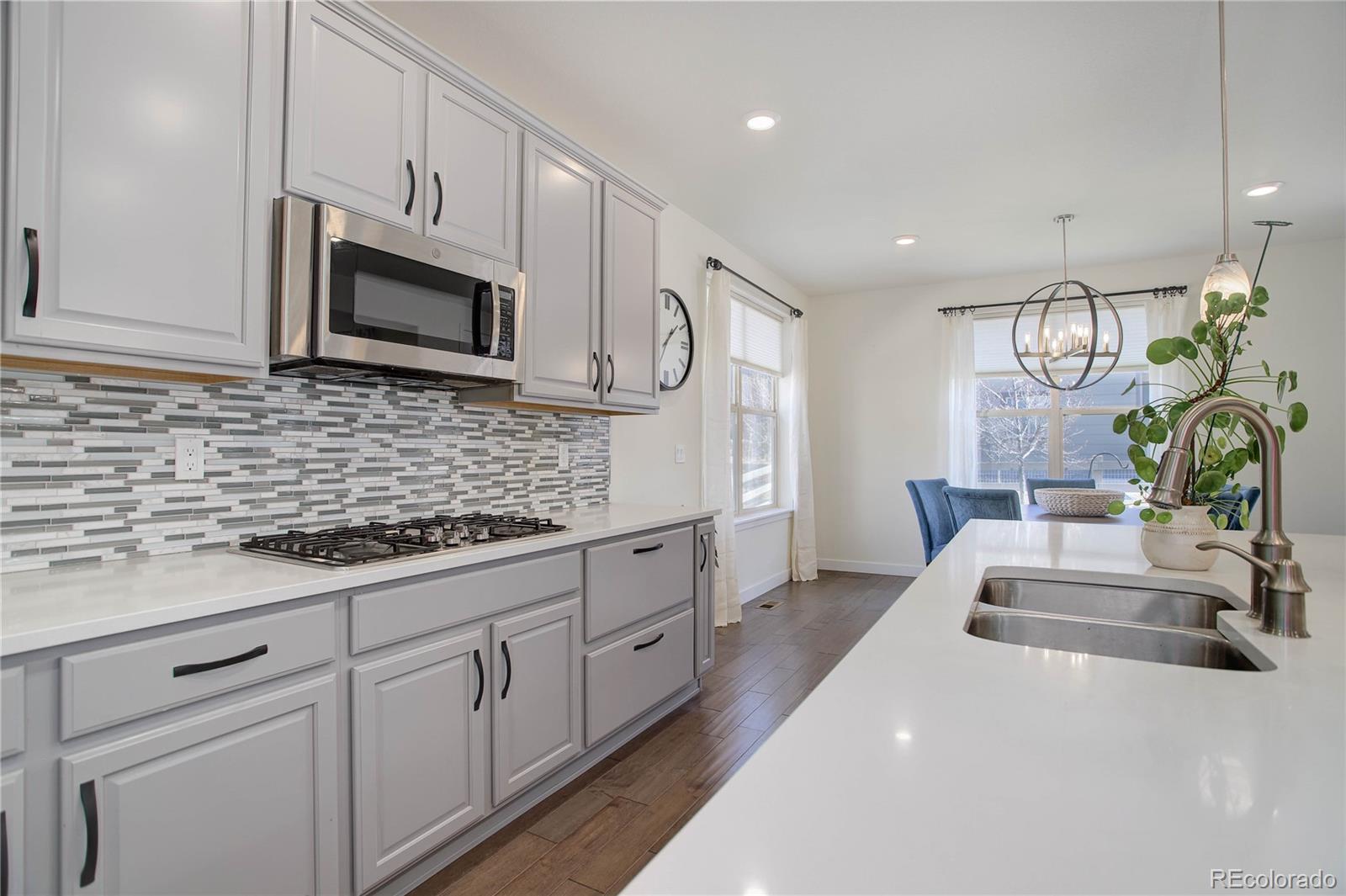 MLS Image #16 for 9750  taylor river circle,littleton, Colorado