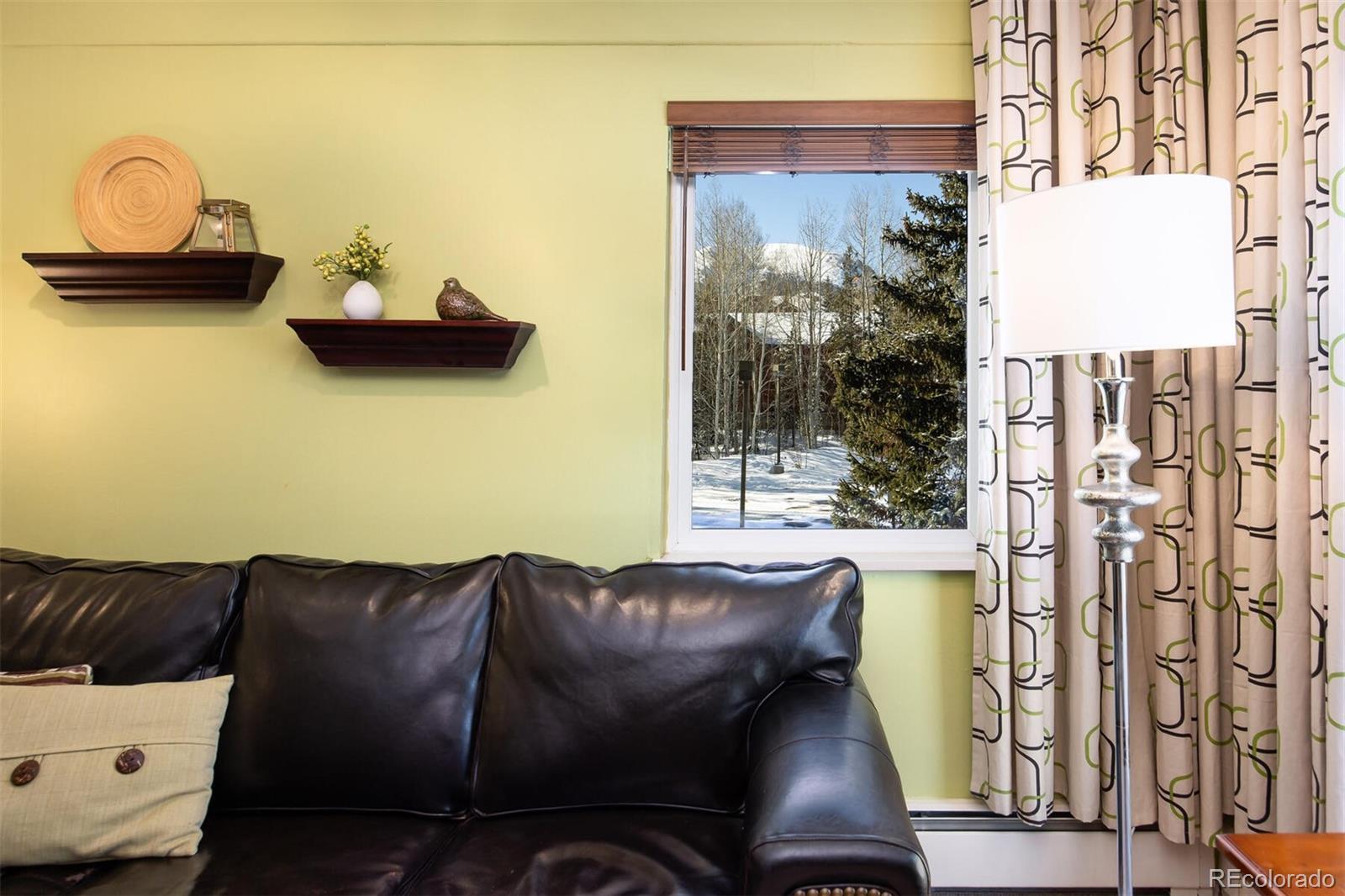 MLS Image #1 for 101  ryan gulch court,silverthorne, Colorado