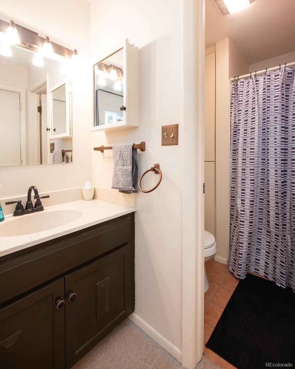 MLS Image #17 for 101  ryan gulch court,silverthorne, Colorado