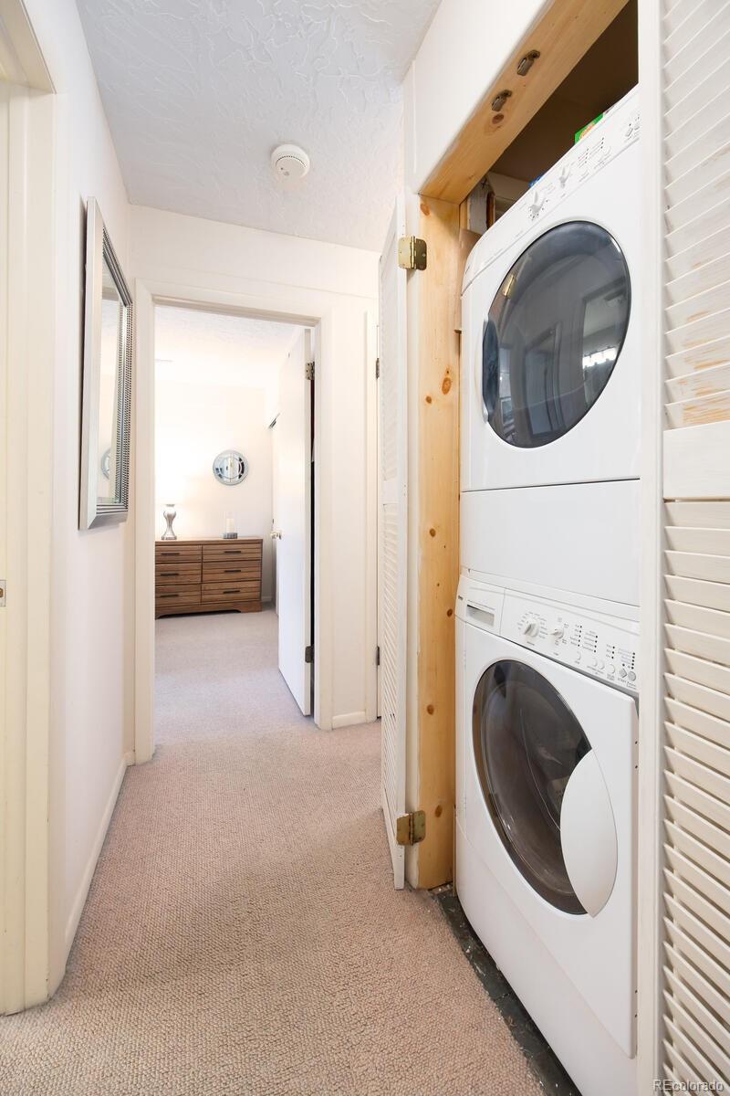 MLS Image #19 for 101  ryan gulch court,silverthorne, Colorado