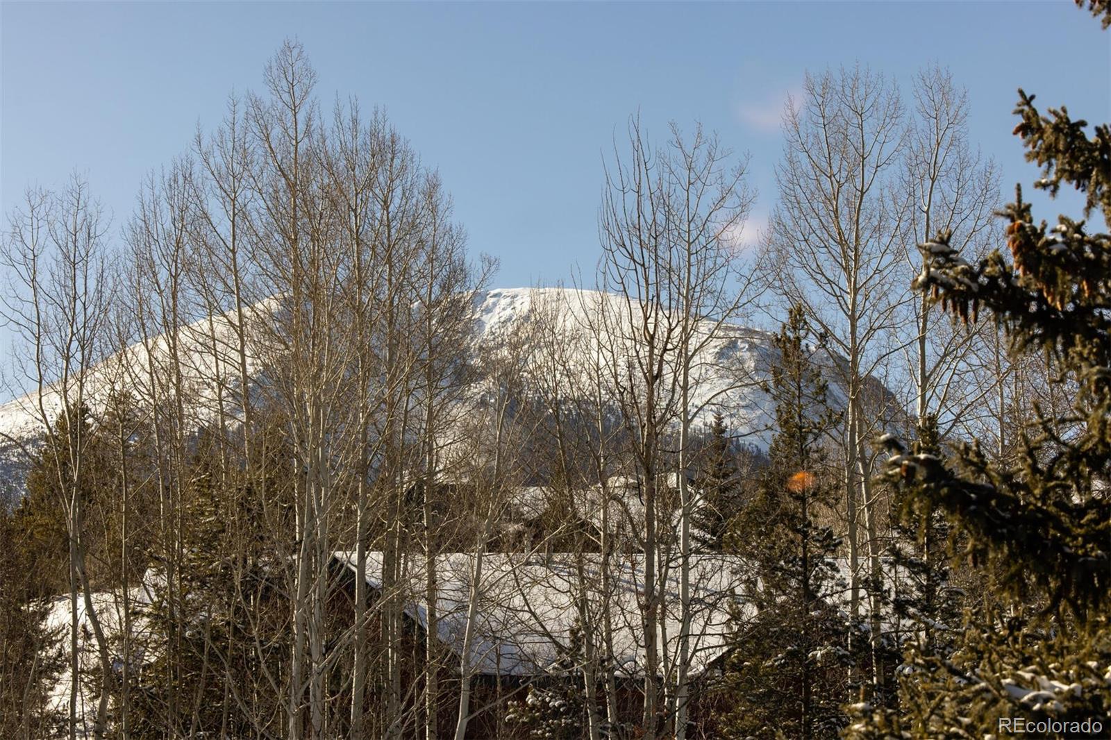 MLS Image #23 for 101  ryan gulch court,silverthorne, Colorado