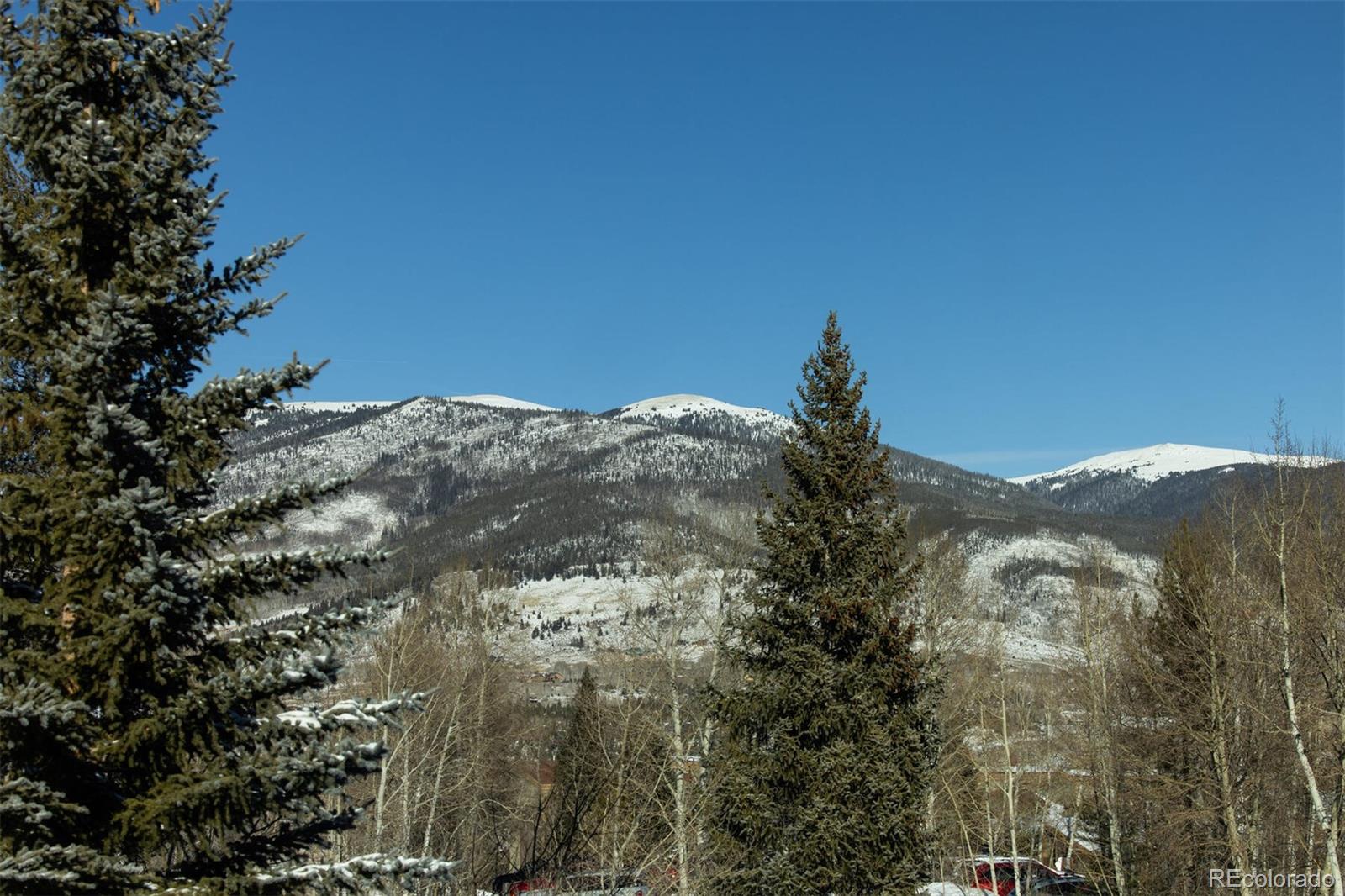 MLS Image #24 for 101  ryan gulch court,silverthorne, Colorado