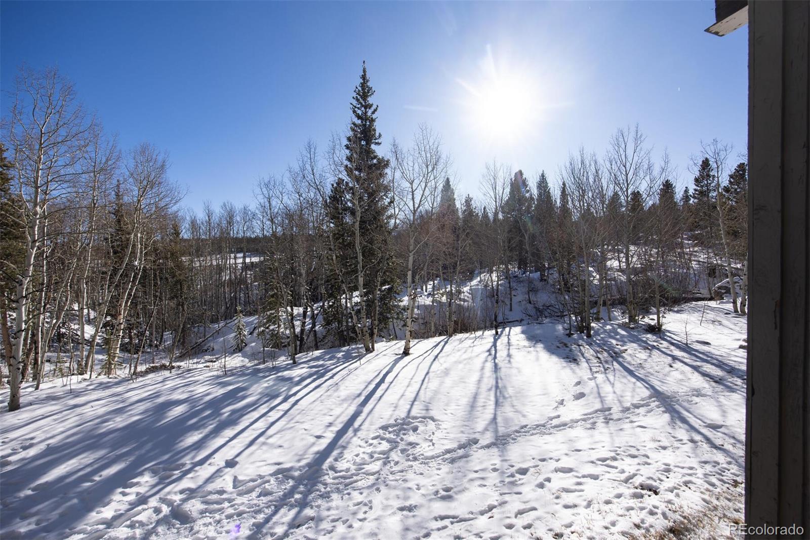 MLS Image #27 for 101  ryan gulch court,silverthorne, Colorado