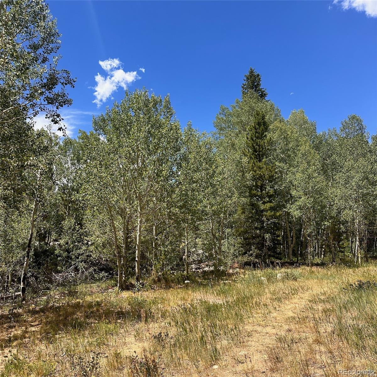 MLS Image #44 for 101  ryan gulch court,silverthorne, Colorado