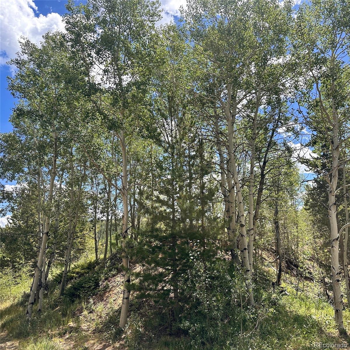 MLS Image #45 for 101  ryan gulch court,silverthorne, Colorado