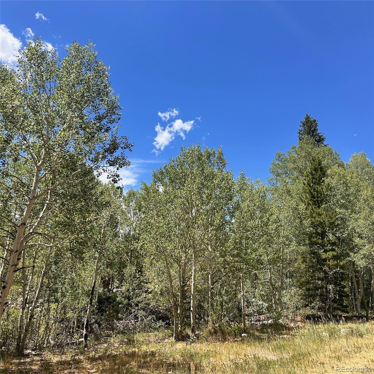 MLS Image #46 for 101  ryan gulch court,silverthorne, Colorado