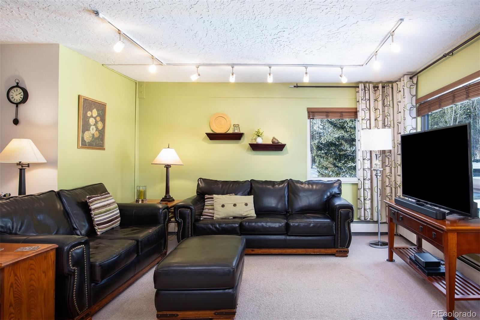 MLS Image #7 for 101  ryan gulch court,silverthorne, Colorado